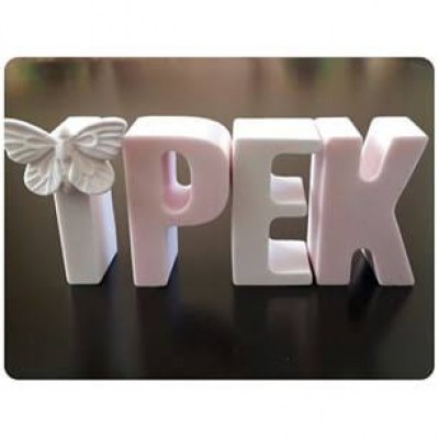 12360051_1087447577933757_2550485929901610837_n