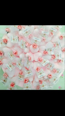 13882185_394650310659106_5137126025340801404_n