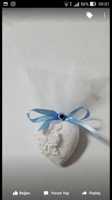 13895504_394650627325741_2747218641302035719_n